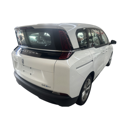 Comfortable Travel Pentium NAT Electric Vehicle