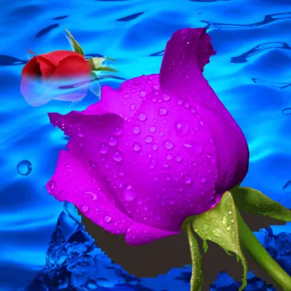 5D Diamond Painting Dripping Rose DIY Diamond Embroidery Painting
