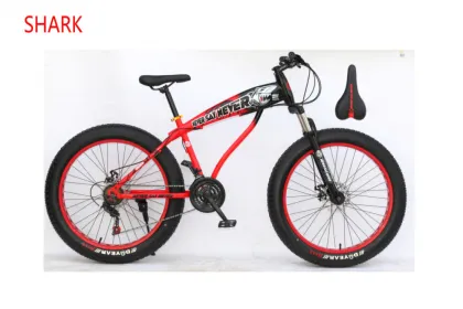 Factory wholesale snow mountain bike