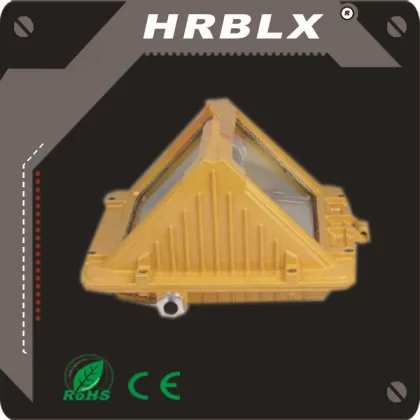 Mining flameproof LED Explosion-proof Lamp/roadway lights