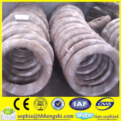 electro galvanized annealed iron wire/iron wire/iron wire coil