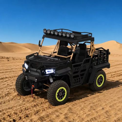 Hoye SSV 1000CC EPS بمقعدين