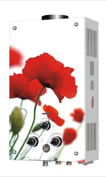 Competitve price Low Presuure Gas Water Heater 16L