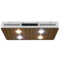 A grande promoção Phlizon 2000W COB Grow Light USA