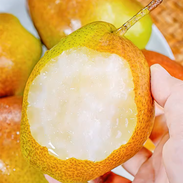 Fresh Yulu fragrant pear
