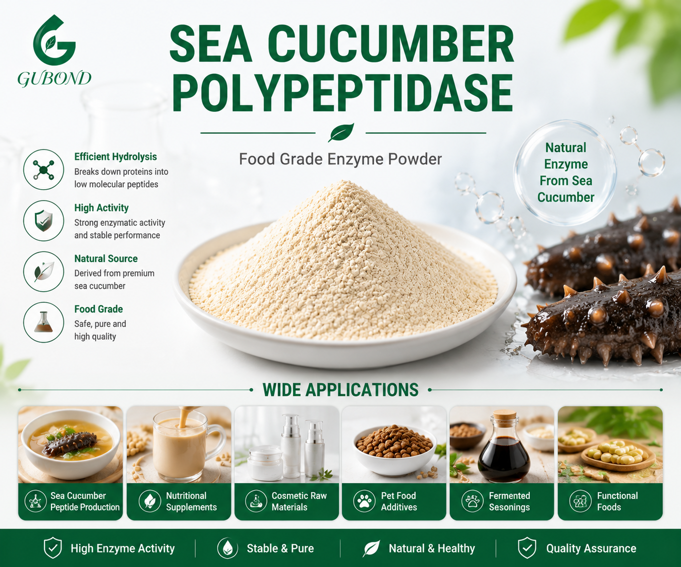 Sea Cucumber Polypeptidase
