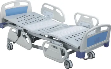 Five Function Luxurious Electric Care Beds