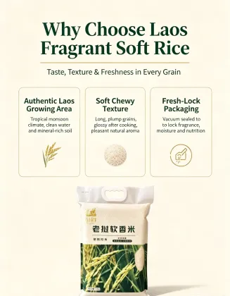 Premium Laos Fragrant Soft Rice
