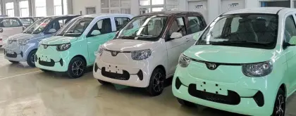 TIGER-EV High Speed Electric Car