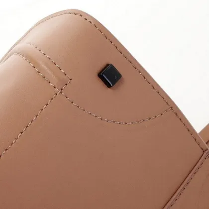 Phantom Light Brown, Fashionable Original Leather Celine Square Bag With Black Hardware