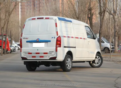 Shaanxi Tongjia Dianniu No.2: New Energy Electric Cargo Vans