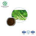 High-Purity Lettuce Greenhouse Extract in Bulk 10:1 Form