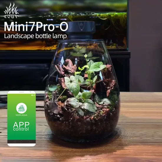 Eco-Friendly COB Microlandscape Plant Fill Light for Desktop and Fish Tank with APP Control and Timer