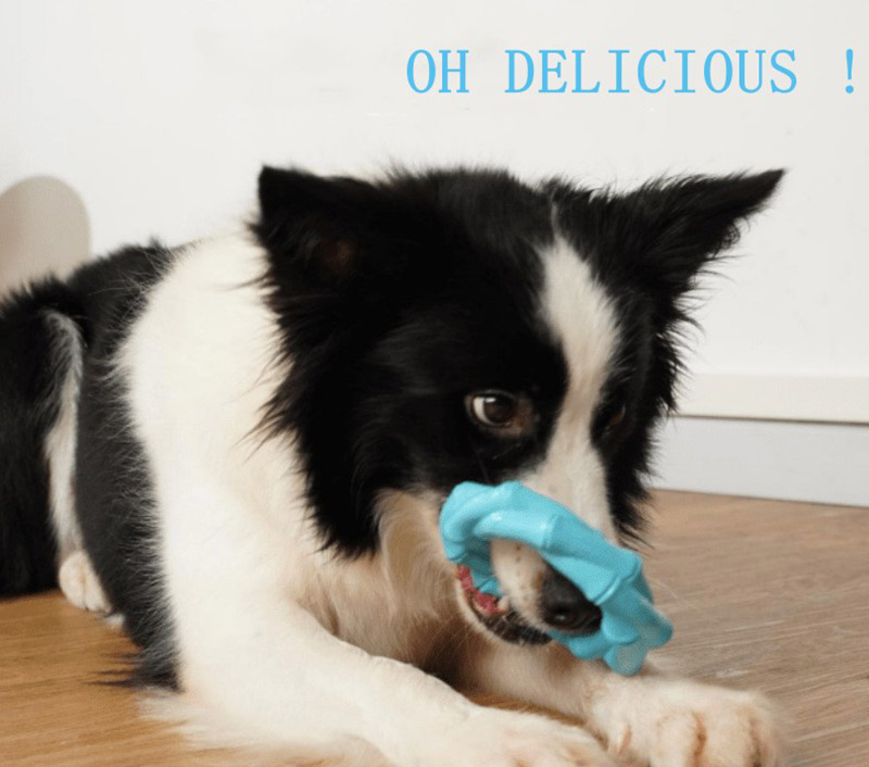 Tooth Cleaning Interactive Chew Toys