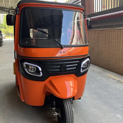 Petrol Tuk Tuk Taxi for Passengers