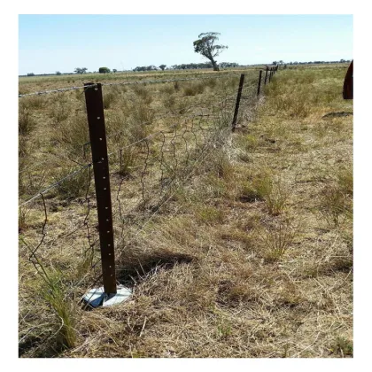 Chinese Factory Y Star Picket 2.4m - Anti Rust Cheap Price