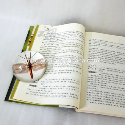 Butterfly Glass dome paperweight MH-F0524