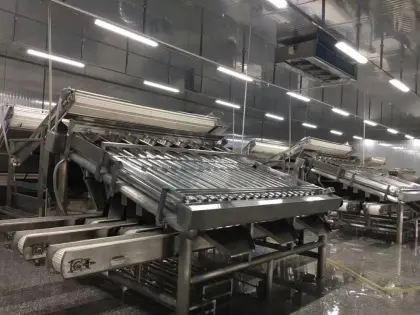 Shrimp And Fish Grading Machine