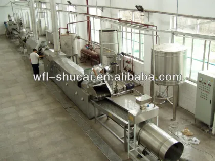 Automatic Potato Chips line/Potato Chips Line