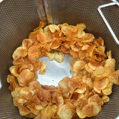 Moxin French Fries Deoiler Machine: Commercial Food Dehydrators