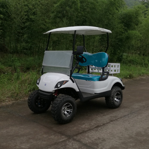 Venda carrinho de golfe a gás de 2 lugares 300cc