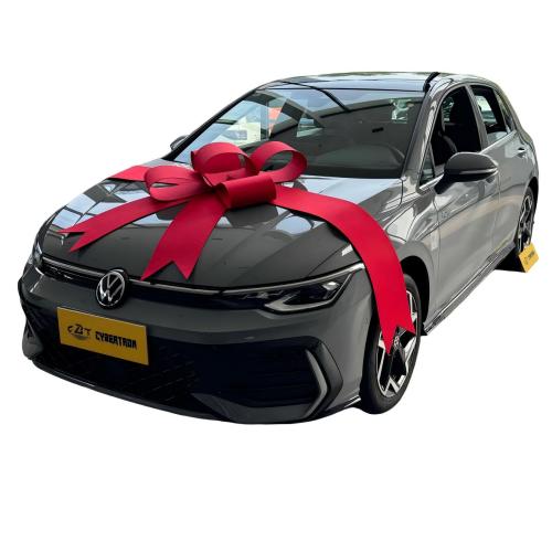 エバーグリーン ゴルフ 300TSI ハッチバック 通勤用