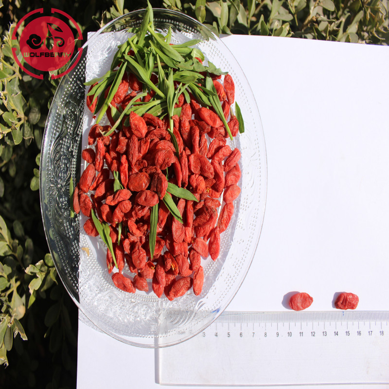 Bajo precio muestra gratis Bajo pesticida Goji Berries