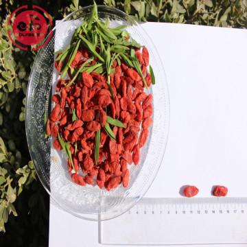 Low Price Free Sample Low pesticide Goji Berries