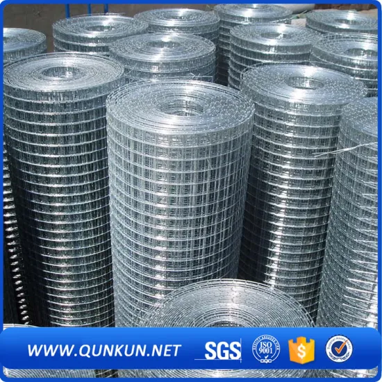 Pet Cage Woven Galvanized Welded Wire Mesh