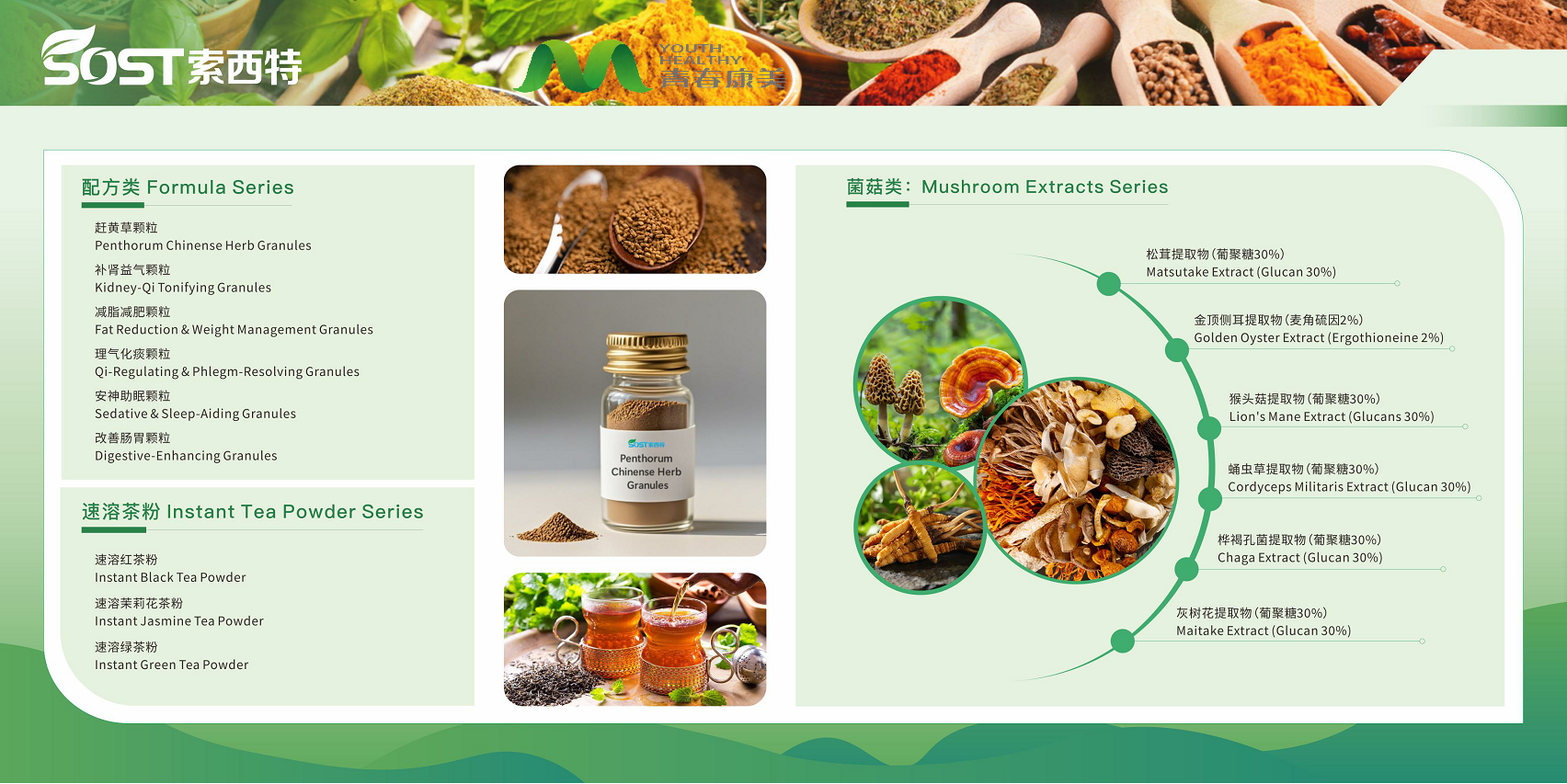 Mushroom Extract Powder