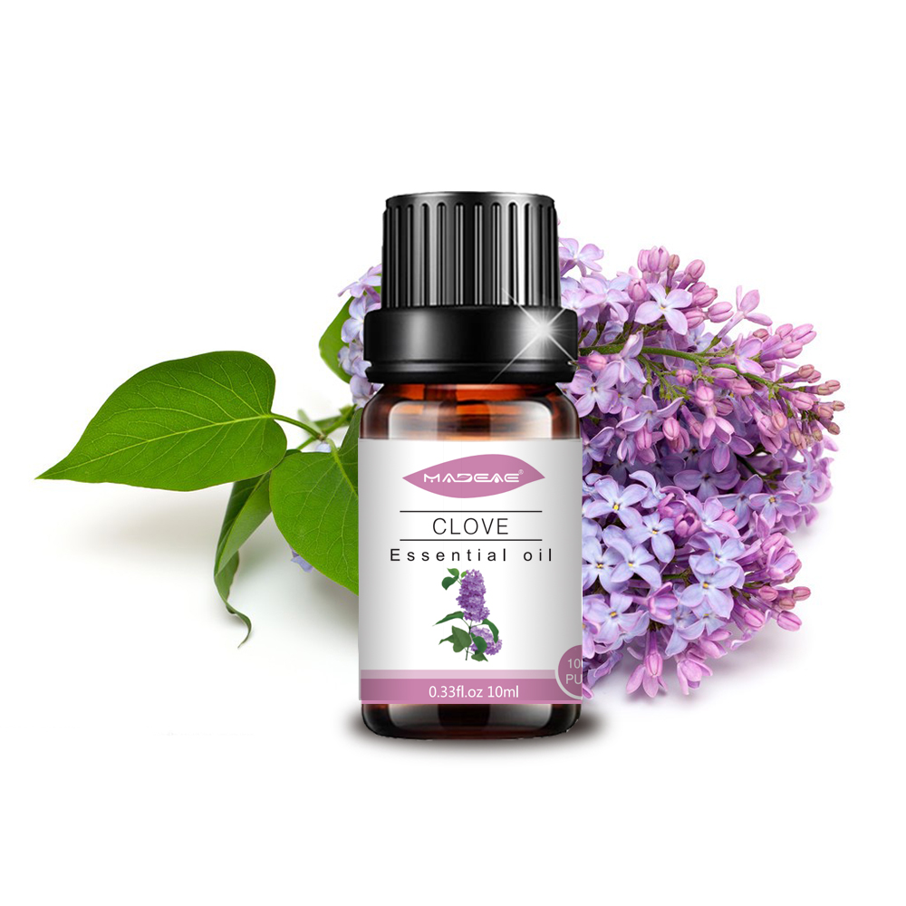Clove esencial Aceite natural Aromaterapia orgánica Beauty Spa