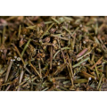Cichorii Radix Extract