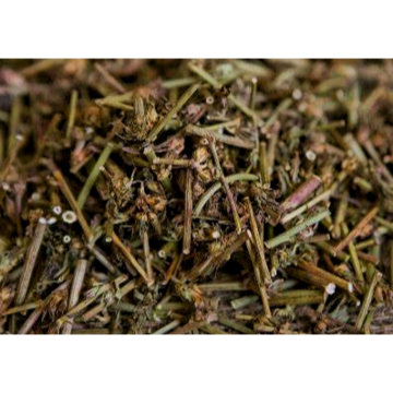 Cichorii Radix Extract