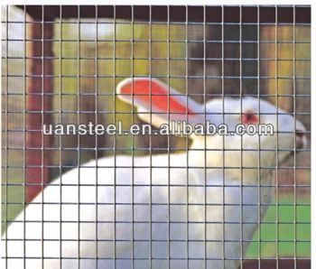 export good quality zinc wire mesh for animal keeping