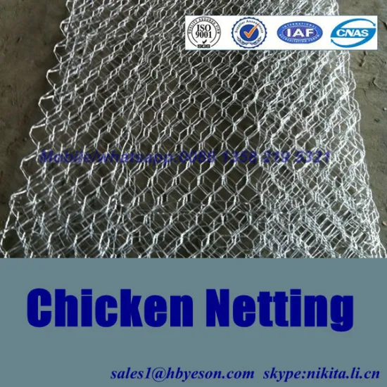 chiken netting,chiken wire,hexagonal wire mesh