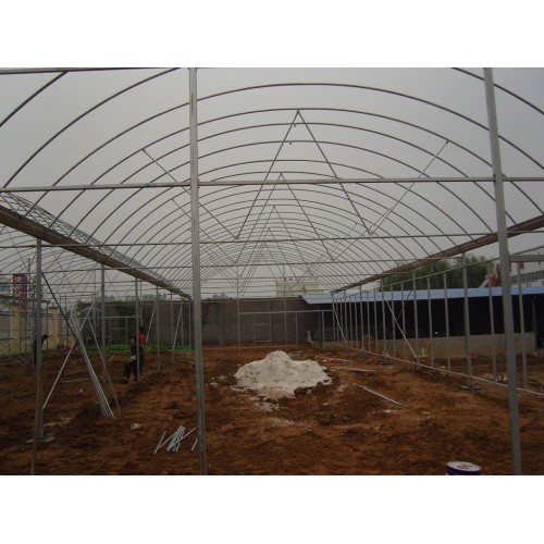 Multi Span Arch Frame Structure