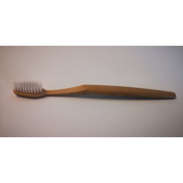 Biodegradable rice husk toothbrush