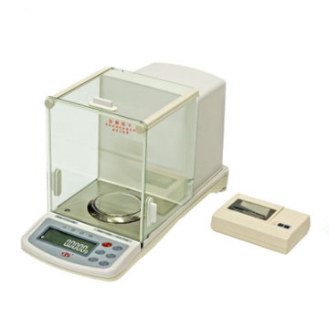 Electronic Analytical Balance (ESJ)
