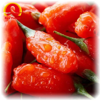 Red Power QIZITO fresh wolfberry wolfberry dryer wolfberry ningxia