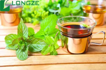 Lemon balm extract lemon balm extract