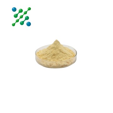 Bacosides A+B Standardized Herbal Extract