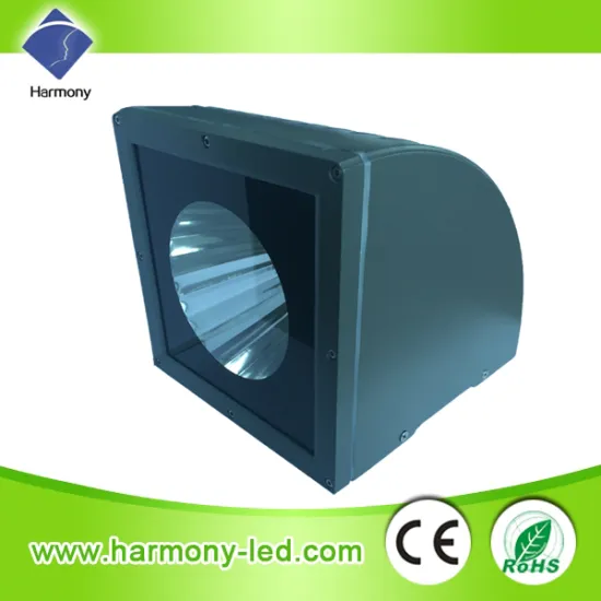 Bridgelux 60W High Power IP65 LED Wall Lamp