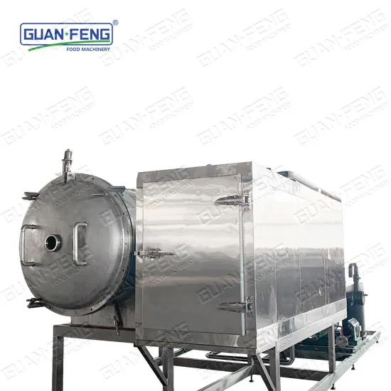 Vacuum Freeze Dryer Laboratory Equipment for Freeze Dried Fruits