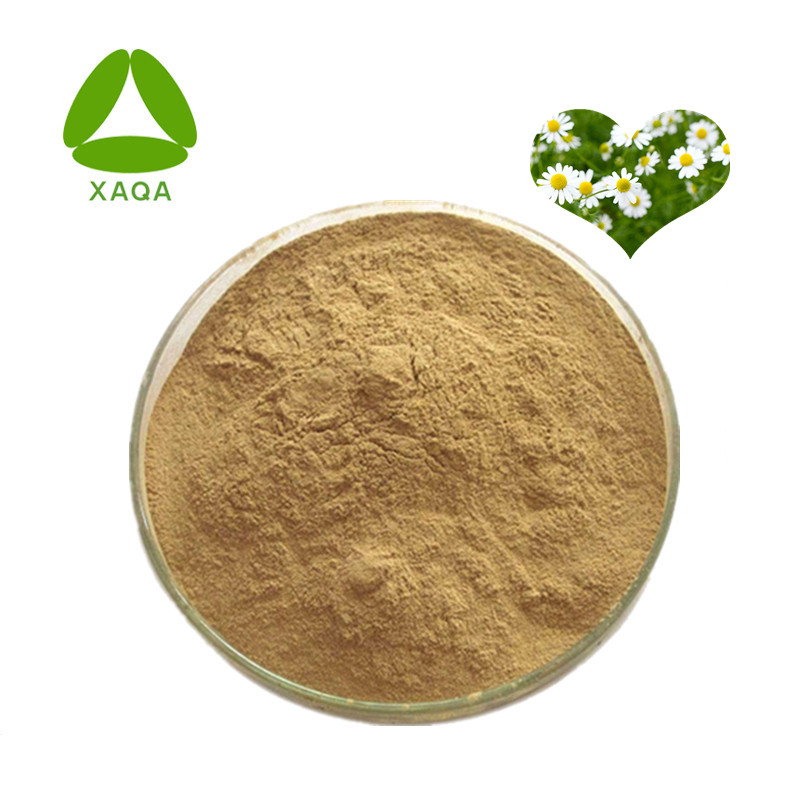 Herbal Extracts Wild Chrysanthemum Extract Powder