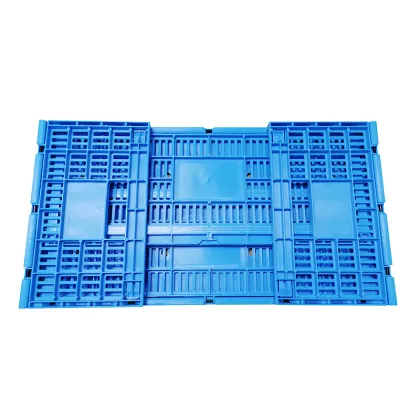 30-Egg Reusable Plastic Incubator and Egg Tray for Chicken Eggs