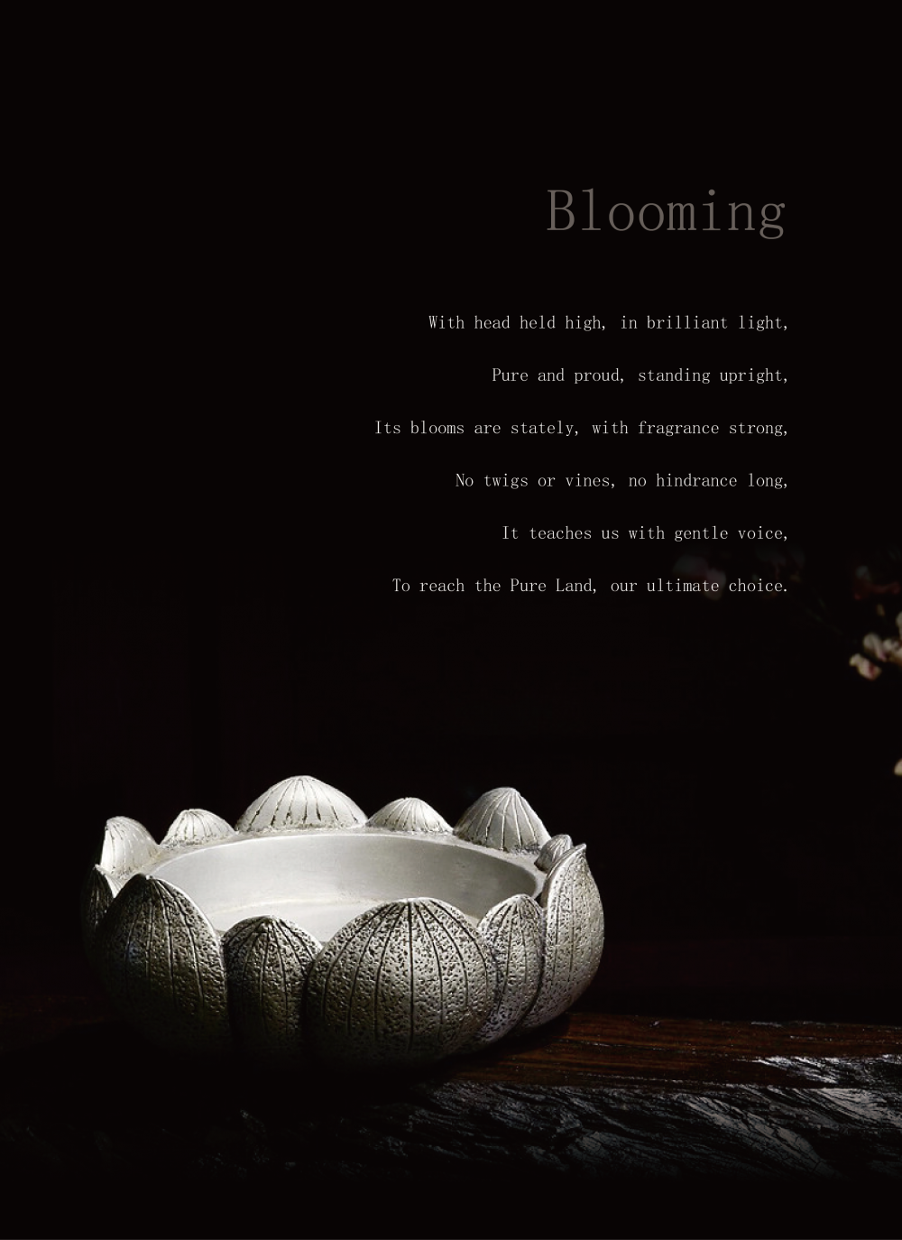 Blooming Cover