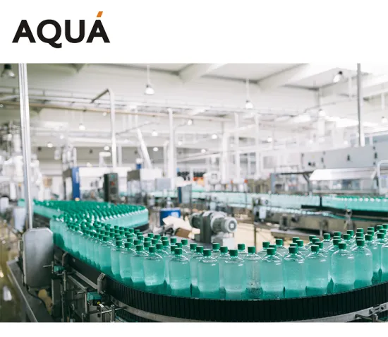 Popular Aerated Bottling Plant for Flavored Water/Gas Drink Packaging Machines