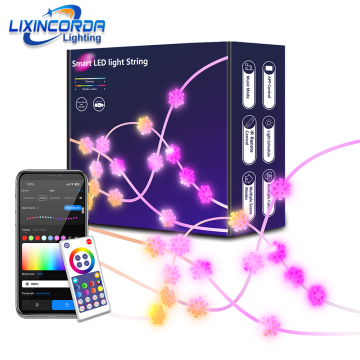 RGBIC LED String WS2812B Bluetooth USB Music Color Lights for Home Decor