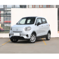 2023 Chinese New energy brand EV small electric car with high quality