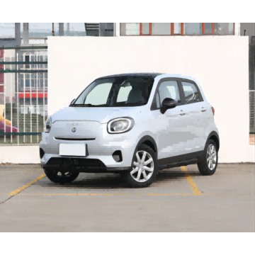 2023 Chinese New energy brand EV small electric car with high quality